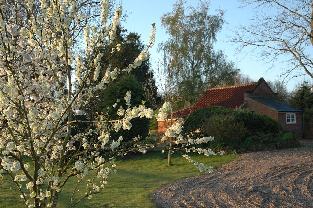 Field Cottage Bed And Continental Breakfast East Harling Rom bilde